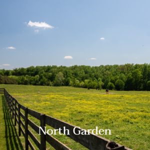 North Garden