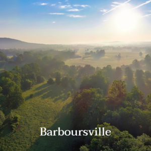 Barboursville