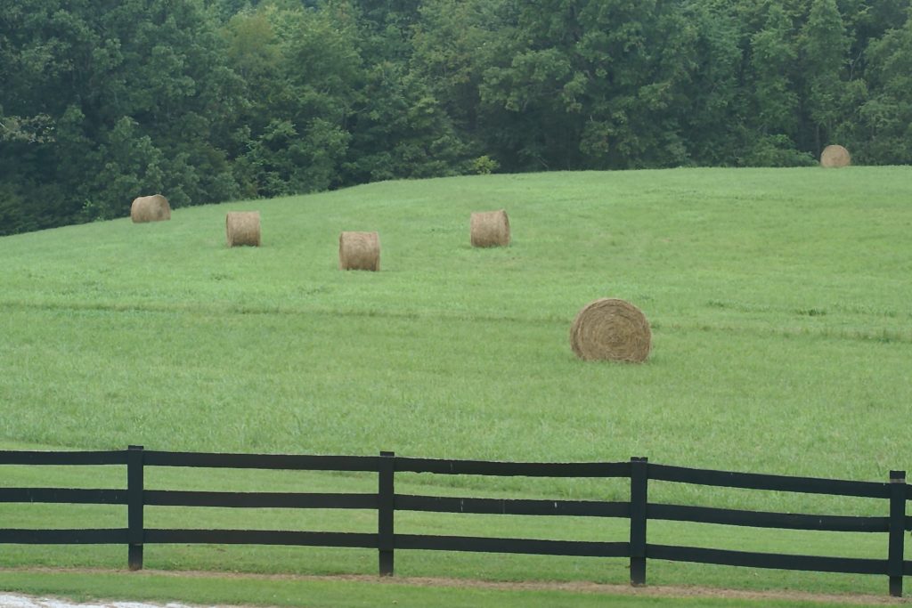 farms for sale charlottesville va