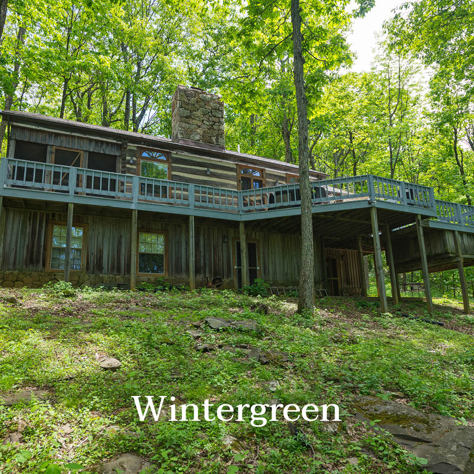 Wintergreen